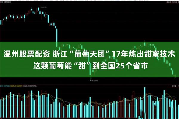 温州股票配资 浙江“葡萄天团”17年炼出甜蜜技术 这颗葡萄能“甜”到全国25个省市